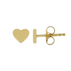 Pendientes en plata