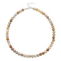 Collar en plata con Piedra petoskey