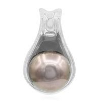 Colgante en plata con Perla cultivada de Tahití (TPC)