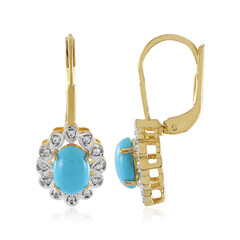Pendientes en plata con Turquesa bella durmiente