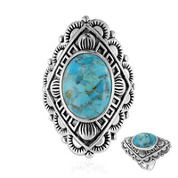 Anillo en plata con Turquesa (Art of Nature)