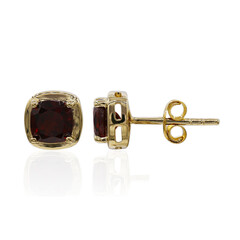 Pendientes en plata con Granate
