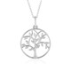 Collar en plata