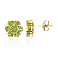 Pendientes en plata con Peridoto de Birmania