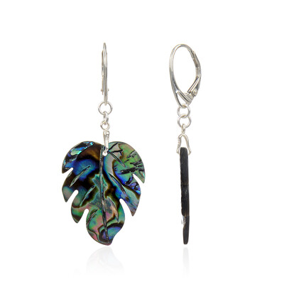 Pendientes en plata con Concha de Abalone