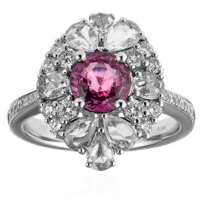 Anillo en oro con Zafiro rosado (CIRARI)
