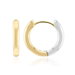 Pendientes en plata