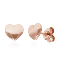 Pendientes en plata