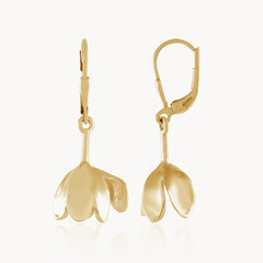Pendientes en plata