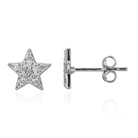 Pendientes en plata con Zircón