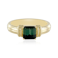 Anillo en plata con Turmalina verde Benedito(Adela Silber)