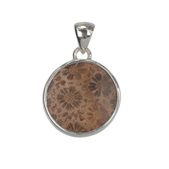 Colgante en plata con Piedra petoskey