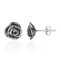 Pendientes en plata