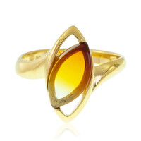 Anillo en plata con Ámbar báltico