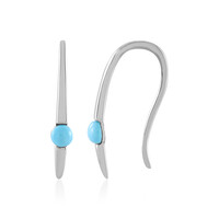 Pendientes en plata con Turquesa bella durmiente (Faszination Türkis)