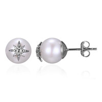 Pendientes en plata con Perla Freshwater