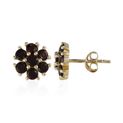 Pendientes en plata con Granate