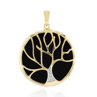 Colgante en plata con Ónix negro