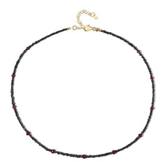 Collar en plata con Diamante negro