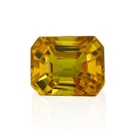 Piedra preciosa con Zafiro Ceylon amarillo