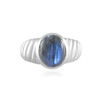 Anillo en plata con Labradorita