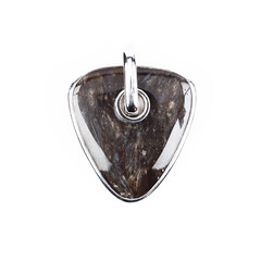 Colgante en plata con Madera de palma petrificada