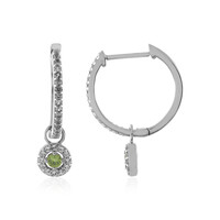 Pendientes en plata con Demantoide de Rusia