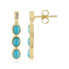 Pendientes en plata con Turquesa bella durmiente