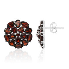 Pendientes en plata con Granate