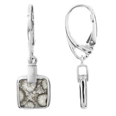 Pendientes en plata con Piedra petoskey