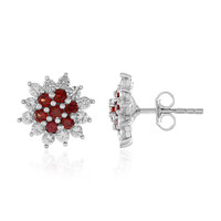 Pendientes en plata con Rubí de Tanzania (Adela Silber)