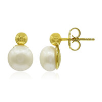 Pendientes en plata con Perla Freshwater (TPC)