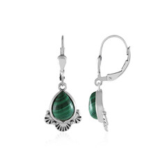 Pendientes en plata con Malaquita (Desert Chic)