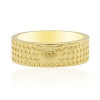 Anillo en plata