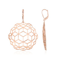 Pendientes en plata (SAELOCANA)
