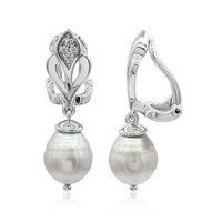Clip de oreja en plata con Perla Freshwater (TPC)