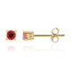 Pendientes en oro con Rubelita