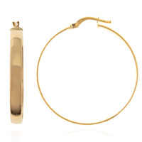 Pendientes en oro