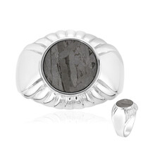 Anillo en plata con Meteorito Aletai