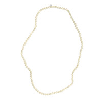 Collar en plata con Perla Freshwater (TPC)