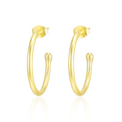 Pendientes en plata (Maigold Kreativ)