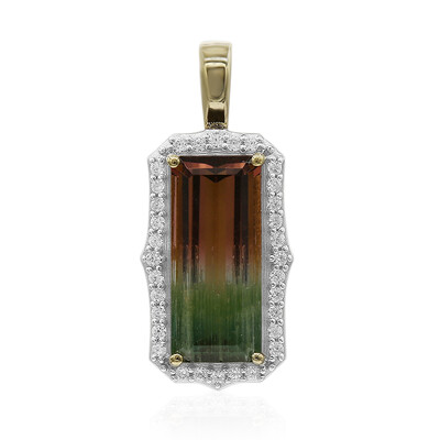 Colgante en oro con Turmalina multicolor