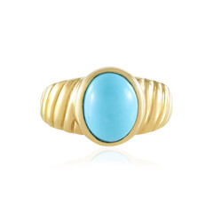 Anillo en plata con Turquesa bella durmiente