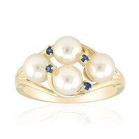 Anillo en oro con Perla de Akoya (Michelle Albala)