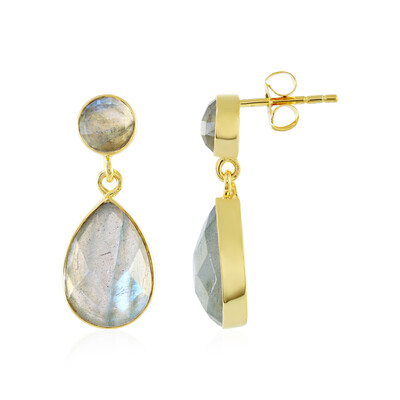 Pendientes en plata con Labradorita