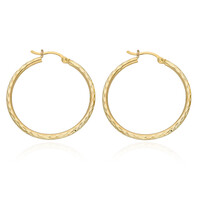 Pendientes en oro