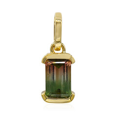 Colgante en oro con Turmalina multicolor