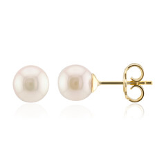 Pendientes en plata con Perla de Akoya (TPC)