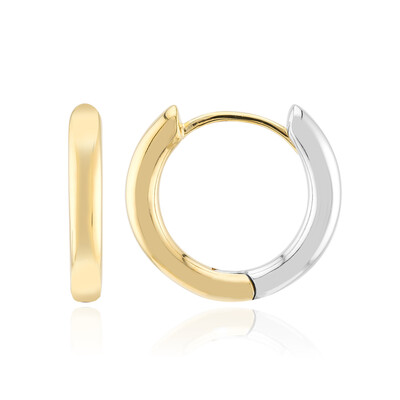 Pendientes en plata