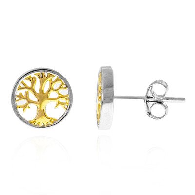 Pendientes en plata